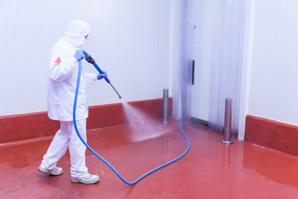 Best Solar Panel Cleaning  in Coral Terrace, FL